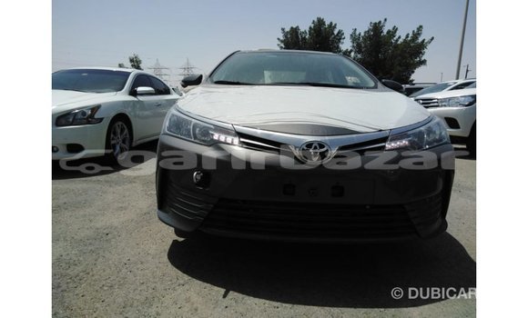 Buy Import 2019 Toyota Corolla in Import - Dubai, Bandarban Buy Import 2019 Toyota Corolla in Import - Dubai, Bandarban