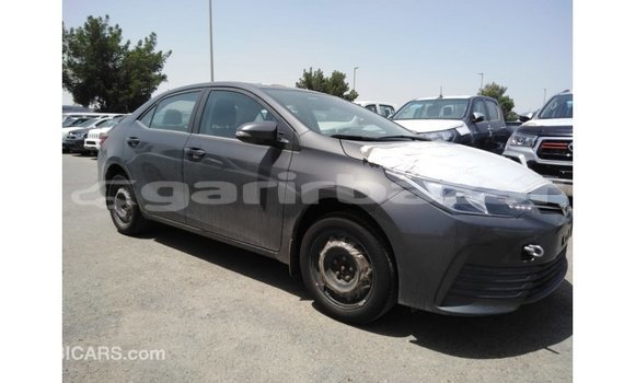 Buy Import 2019 Toyota Corolla in Import - Dubai, Bandarban Buy Import 2019 Toyota Corolla in Import - Dubai, Bandarban