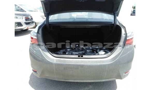 Buy Import 2019 Toyota Corolla in Import - Dubai, Bandarban Buy Import 2019 Toyota Corolla in Import - Dubai, Bandarban