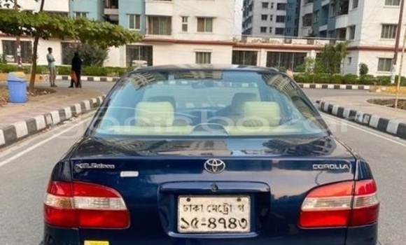 কেনা ব্যবহৃত Toyota Corolla Blue গাড়ী মধ্যে ঢাকা মধ্যে Dhaka কেনা ব্যবহৃত Toyota Corolla Blue গাড়ী মধ্যে ঢাকা মধ্যে Dhaka