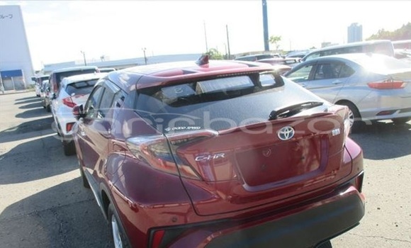 Buy Import 2017 Toyota CH-R in Dhaka, Dhaka Buy Import 2017 Toyota CH-R in Dhaka, Dhaka