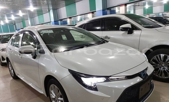 Buy Import 2021 Toyota Corolla in Dhaka, Dhaka Buy Import 2021 Toyota Corolla in Dhaka, Dhaka