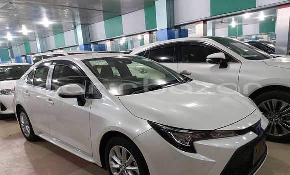 Buy Import 2021 Toyota Corolla in Dhaka, Dhaka Buy Import 2021 Toyota Corolla in Dhaka, Dhaka