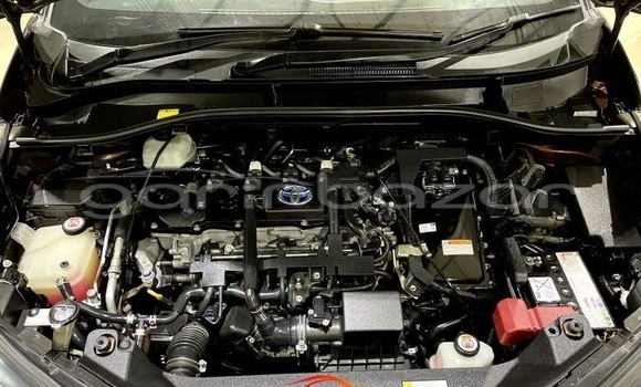 Buy Used 2017 Toyota CH-R in Dhaka, Dhaka Buy Used 2017 Toyota CH-R in Dhaka, Dhaka