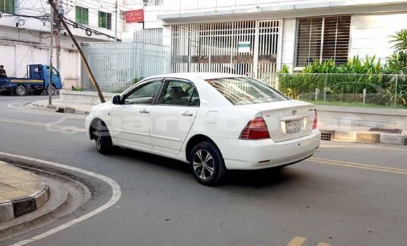 Buy Used 2005 Toyota Corolla in Dhaka, Dhaka Buy Used 2005 Toyota Corolla in Dhaka, Dhaka