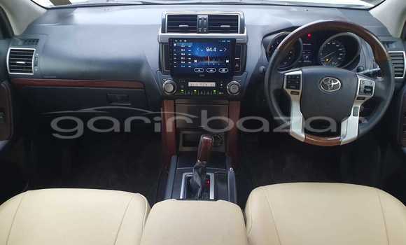 কেনা ব্যবহৃত Toyota Land Cruiser Prado Other গাড়ী মধ্যে ঢাকা মধ্যে Dhaka কেনা ব্যবহৃত Toyota Land Cruiser Prado Other গাড়ী মধ্যে ঢাকা মধ্যে Dhaka