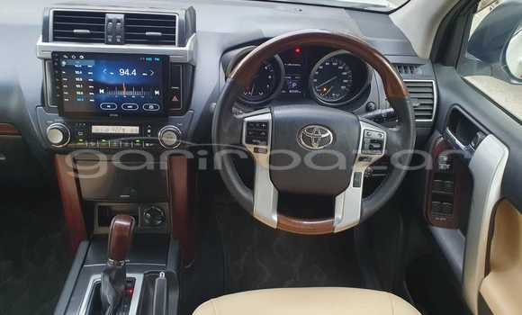 কেনা ব্যবহৃত Toyota Land Cruiser Prado Other গাড়ী মধ্যে ঢাকা মধ্যে Dhaka কেনা ব্যবহৃত Toyota Land Cruiser Prado Other গাড়ী মধ্যে ঢাকা মধ্যে Dhaka