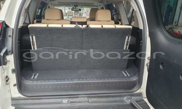কেনা ব্যবহৃত Toyota Land Cruiser Prado Other গাড়ী মধ্যে ঢাকা মধ্যে Dhaka কেনা ব্যবহৃত Toyota Land Cruiser Prado Other গাড়ী মধ্যে ঢাকা মধ্যে Dhaka