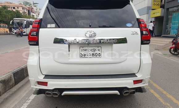 কেনা ব্যবহৃত Toyota Land Cruiser Prado Other গাড়ী মধ্যে ঢাকা মধ্যে Dhaka কেনা ব্যবহৃত Toyota Land Cruiser Prado Other গাড়ী মধ্যে ঢাকা মধ্যে Dhaka