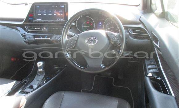 Buy New 2019 Toyota Prius Alpha in Dhaka, Dhaka Buy New 2019 Toyota Prius Alpha in Dhaka, Dhaka