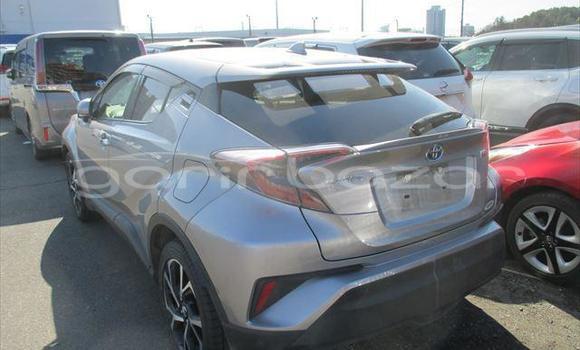 কেনা নতুন Toyota CH-R Other গাড়ী মধ্যে ঢাকা মধ্যে Dhaka কেনা নতুন Toyota CH-R Other গাড়ী মধ্যে ঢাকা মধ্যে Dhaka