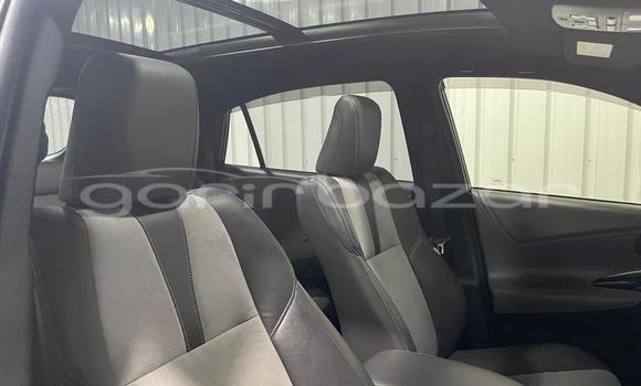 কেনা নতুন Toyota Harrier Blue গাড়ী মধ্যে ঢাকা মধ্যে Dhaka কেনা নতুন Toyota Harrier Blue গাড়ী মধ্যে ঢাকা মধ্যে Dhaka