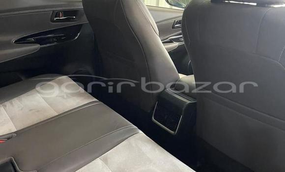 কেনা নতুন Toyota Harrier Blue গাড়ী মধ্যে ঢাকা মধ্যে Dhaka কেনা নতুন Toyota Harrier Blue গাড়ী মধ্যে ঢাকা মধ্যে Dhaka