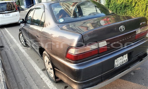 কেনা ব্যবহৃত Toyota T100 Grey গাড়ী মধ্যে ঢাকা মধ্যে Dhaka কেনা ব্যবহৃত Toyota T100 Grey গাড়ী মধ্যে ঢাকা মধ্যে Dhaka