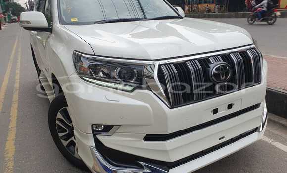 কেনা নতুন Toyota Land Cruiser Prado Other গাড়ী মধ্যে ঢাকা মধ্যে Dhaka কেনা নতুন Toyota Land Cruiser Prado Other গাড়ী মধ্যে ঢাকা মধ্যে Dhaka