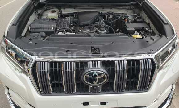 কেনা নতুন Toyota Land Cruiser Prado Other গাড়ী মধ্যে ঢাকা মধ্যে Dhaka কেনা নতুন Toyota Land Cruiser Prado Other গাড়ী মধ্যে ঢাকা মধ্যে Dhaka