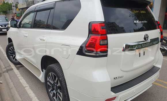 কেনা নতুন Toyota Land Cruiser Prado Other গাড়ী মধ্যে ঢাকা মধ্যে Dhaka কেনা নতুন Toyota Land Cruiser Prado Other গাড়ী মধ্যে ঢাকা মধ্যে Dhaka