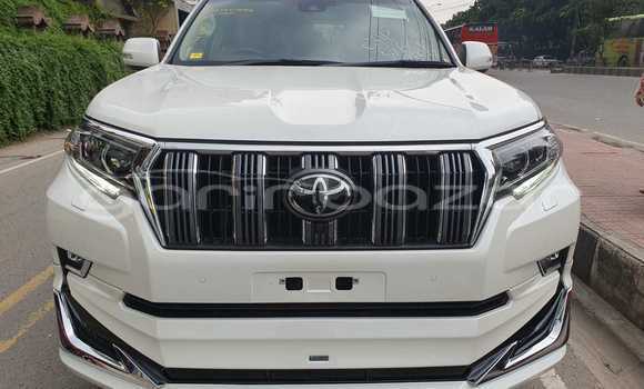 কেনা নতুন Toyota Land Cruiser Prado Other গাড়ী মধ্যে ঢাকা মধ্যে Dhaka কেনা নতুন Toyota Land Cruiser Prado Other গাড়ী মধ্যে ঢাকা মধ্যে Dhaka