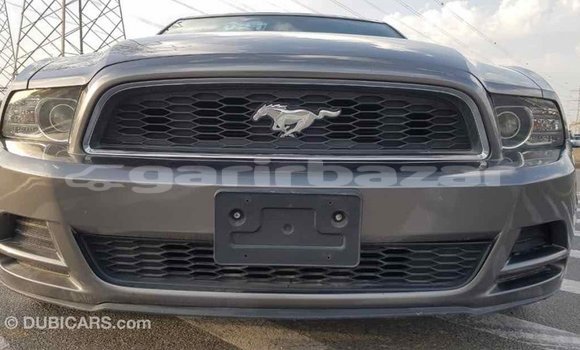 Buy Import 2014 Ford Mustang in Import - Dubai, Bandarban Buy Import 2014 Ford Mustang in Import - Dubai, Bandarban