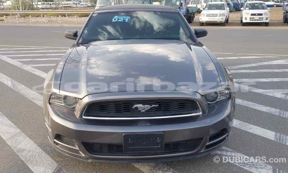 Buy Import 2014 Ford Mustang in Import - Dubai, Bandarban Buy Import 2014 Ford Mustang in Import - Dubai, Bandarban
