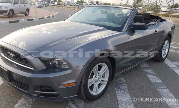 Buy Import 2014 Ford Mustang in Import - Dubai, Bandarban Buy Import 2014 Ford Mustang in Import - Dubai, Bandarban