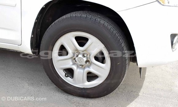 কেনা আমদানি Toyota HiAce White ট্রাক মধ্যে ইম্পোর্ট - দুবাই মধ্যে Bandarban কেনা আমদানি Toyota HiAce White ট্রাক মধ্যে ইম্পোর্ট - দুবাই মধ্যে Bandarban