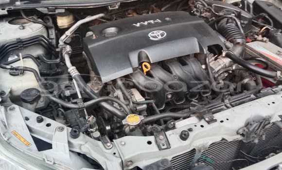 Buy Used 2010 Toyota Premio in Dhaka, Dhaka Buy Used 2010 Toyota Premio in Dhaka, Dhaka