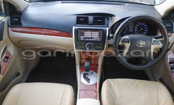 কেনা ব্যবহৃত Toyota Premio White গাড়ী মধ্যে ঢাকা মধ্যে Dhaka কেনা ব্যবহৃত Toyota Premio White গাড়ী মধ্যে ঢাকা মধ্যে Dhaka