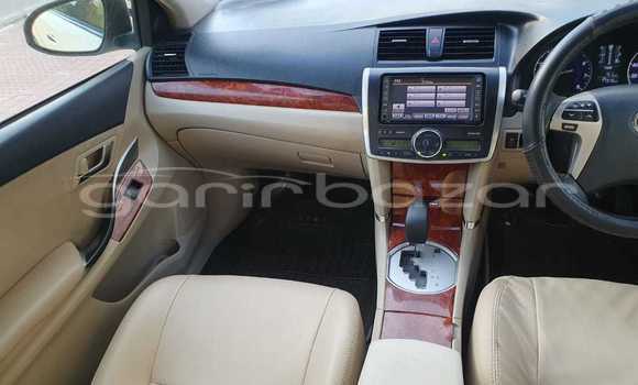 কেনা ব্যবহৃত Toyota Premio White গাড়ী মধ্যে ঢাকা মধ্যে Dhaka কেনা ব্যবহৃত Toyota Premio White গাড়ী মধ্যে ঢাকা মধ্যে Dhaka