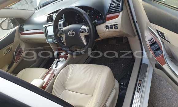 কেনা ব্যবহৃত Toyota Premio White গাড়ী মধ্যে ঢাকা মধ্যে Dhaka কেনা ব্যবহৃত Toyota Premio White গাড়ী মধ্যে ঢাকা মধ্যে Dhaka