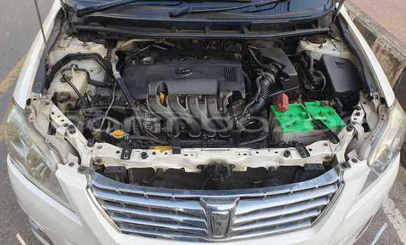কেনা ব্যবহৃত Toyota Premio White গাড়ী মধ্যে ঢাকা মধ্যে Dhaka কেনা ব্যবহৃত Toyota Premio White গাড়ী মধ্যে ঢাকা মধ্যে Dhaka