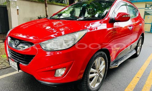 Buy Used 2010 Hyundai Tucson in Dhaka, Dhaka Buy Used 2010 Hyundai Tucson in Dhaka, Dhaka