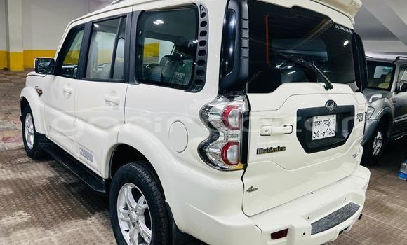Buy Used 2017 Mahindra Scorpio in Dhaka, Dhaka Buy Used 2017 Mahindra Scorpio in Dhaka, Dhaka