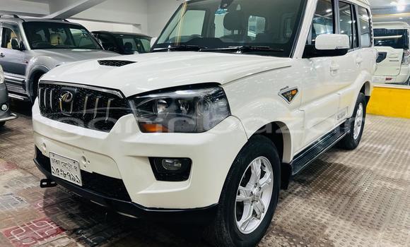 Buy Used 2017 Mahindra Scorpio in Dhaka, Dhaka Buy Used 2017 Mahindra Scorpio in Dhaka, Dhaka