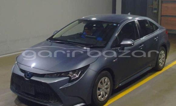 Buy Used 2019 Toyota Corolla in Dhaka, Dhaka Buy Used 2019 Toyota Corolla in Dhaka, Dhaka