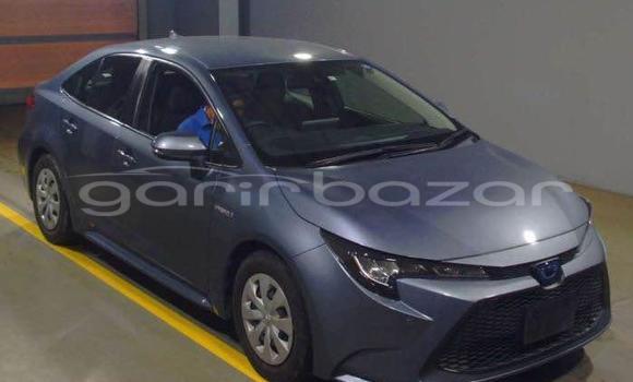 Buy Used 2019 Toyota Corolla in Dhaka, Dhaka Buy Used 2019 Toyota Corolla in Dhaka, Dhaka