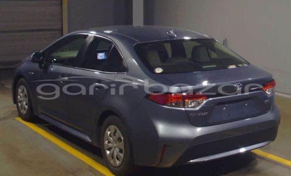 Buy Used 2019 Toyota Corolla in Dhaka, Dhaka Buy Used 2019 Toyota Corolla in Dhaka, Dhaka