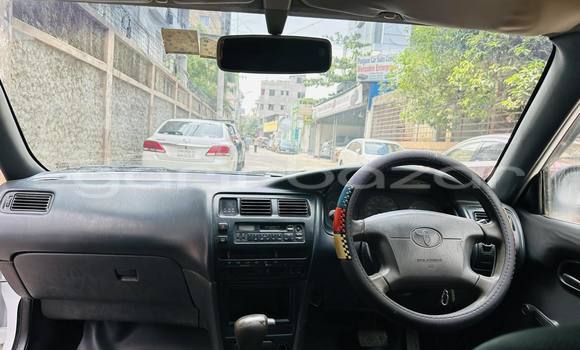 Buy Used 2001 Toyota Corolla in Dhaka, Dhaka Buy Used 2001 Toyota Corolla in Dhaka, Dhaka