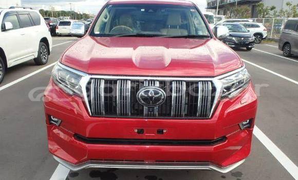 Buy Used 2019 Toyota Land Cruiser in Dhaka, Dhaka Buy Used 2019 Toyota Land Cruiser in Dhaka, Dhaka