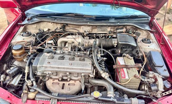 কেনা ব্যবহৃত Toyota Starlet . 1999 Red গাড়ী মধ্যে ঢাকা মধ্যে Dhaka কেনা ব্যবহৃত Toyota Starlet . 1999 Red গাড়ী মধ্যে ঢাকা মধ্যে Dhaka