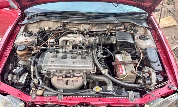 কেনা ব্যবহৃত Toyota Starlet . 1999 Red গাড়ী মধ্যে ঢাকা মধ্যে Dhaka কেনা ব্যবহৃত Toyota Starlet . 1999 Red গাড়ী মধ্যে ঢাকা মধ্যে Dhaka