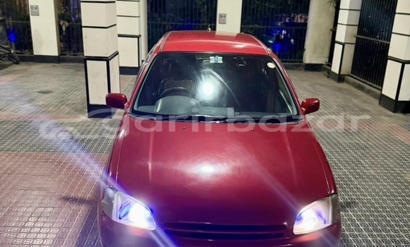 কেনা ব্যবহৃত Toyota Starlet . 1999 Red গাড়ী মধ্যে ঢাকা মধ্যে Dhaka কেনা ব্যবহৃত Toyota Starlet . 1999 Red গাড়ী মধ্যে ঢাকা মধ্যে Dhaka