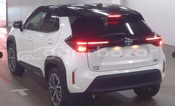 Buy New 2021 Toyota Yaris cross 2021 in Dhaka, Dhaka Buy New 2021 Toyota Yaris cross 2021 in Dhaka, Dhaka