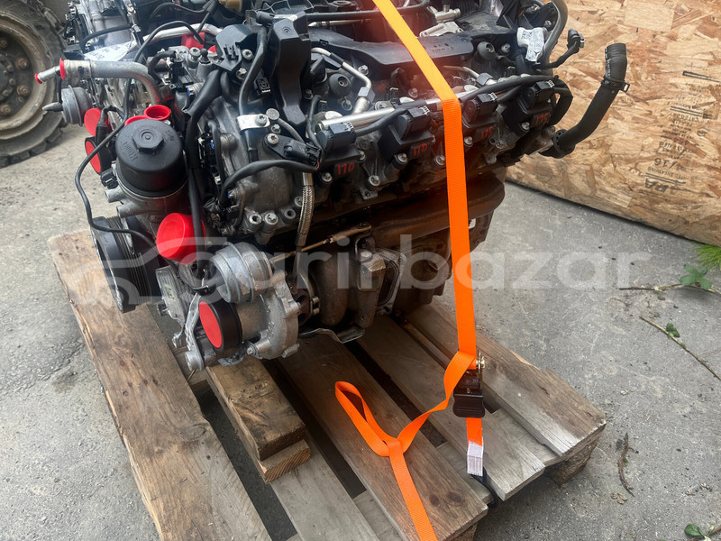 Big with watermark d