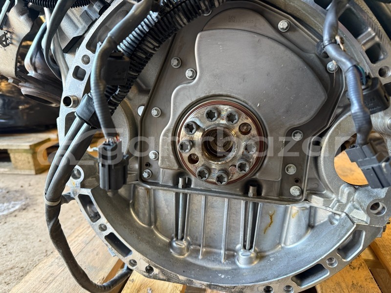 Big with watermark 10