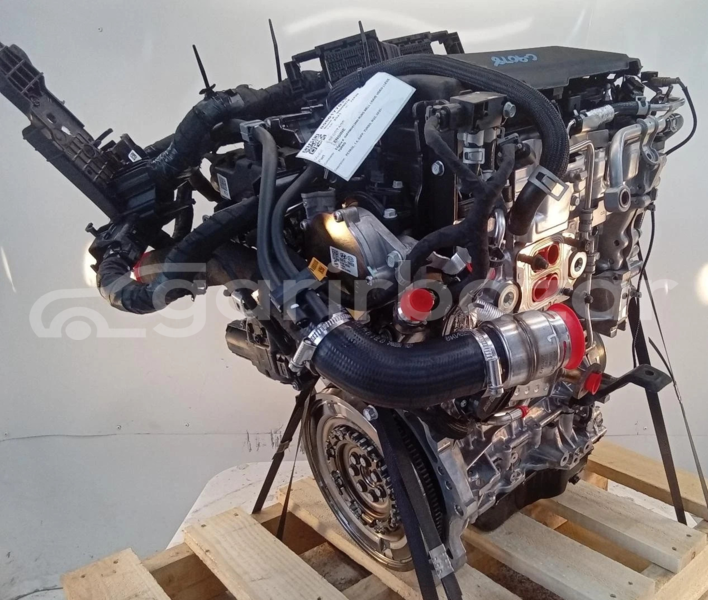 Big with watermark s l16001