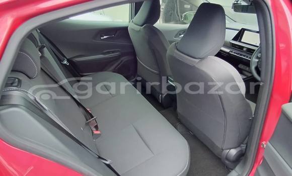 কেনা আমদানি Toyota prius Red গাড়ী মধ্যে ঢাকা মধ্যে Dhaka কেনা আমদানি Toyota prius Red গাড়ী মধ্যে ঢাকা মধ্যে Dhaka