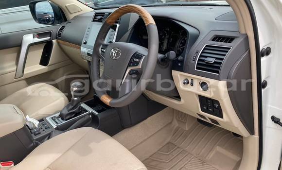 কেনা আমদানি Toyota land cruiser-prado White গাড়ী মধ্যে ঢাকা মধ্যে Dhaka কেনা আমদানি Toyota land cruiser-prado White গাড়ী মধ্যে ঢাকা মধ্যে Dhaka