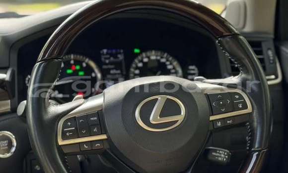 কেনা ব্যবহৃত Lexus LX 570 White গাড়ী মধ্যে ঢাকা মধ্যে Dhaka কেনা ব্যবহৃত Lexus LX 570 White গাড়ী মধ্যে ঢাকা মধ্যে Dhaka