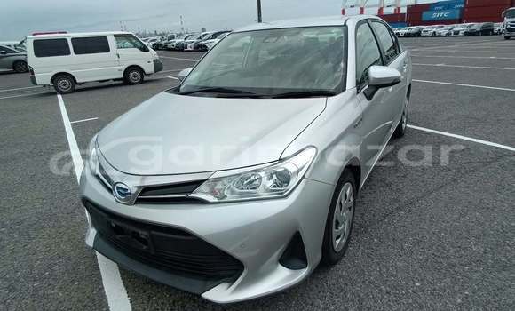 কেনা ব্যবহৃত Toyota Axio Other গাড়ী মধ্যে ঢাকা মধ্যে Dhaka কেনা ব্যবহৃত Toyota Axio Other গাড়ী মধ্যে ঢাকা মধ্যে Dhaka